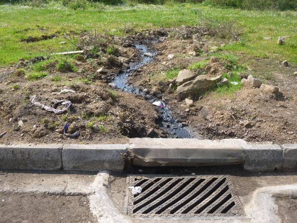 Σύμβαση για τον κατσίγαρο της Περιφέρειας με το "Δημόκριτο"