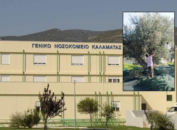50 ηλικιωμένοι στα Επείγοντα γιατί έπεσαν από την ελιά