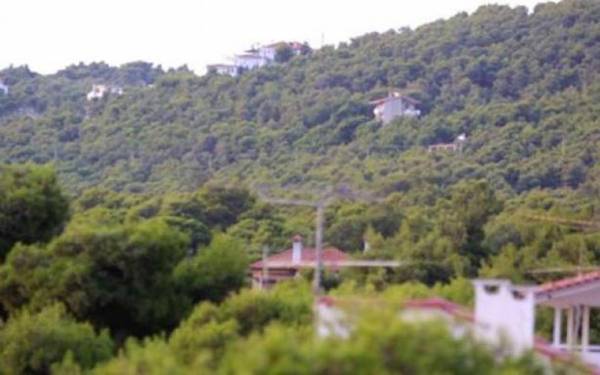 Η "Λαϊκή Συσπείρωση" για τους δασικούς χάρτες της Μεσσηνίας