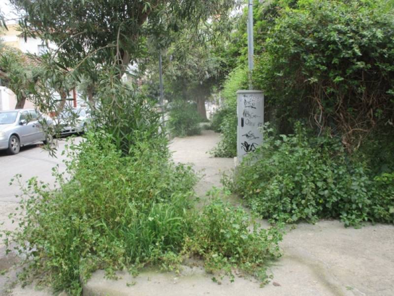 Μαζεύτηκαν τα σκουπίδια