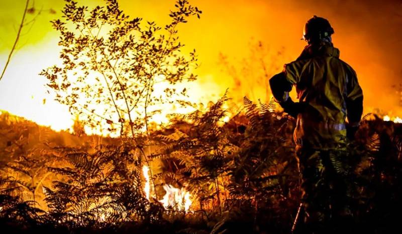 Ρεκόρ εκπομπών άνθρακα από τις δασικές πυρκαγιές στον Καναδά