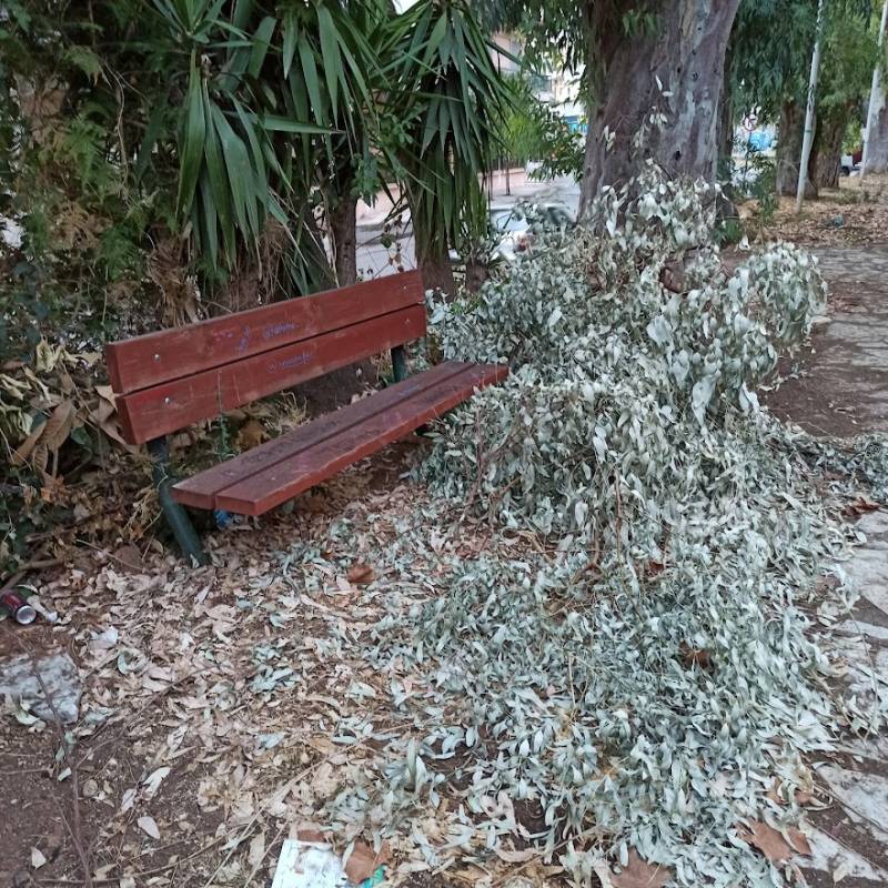 Τριτοκοσμική εικόνα στο Ανατολικό Κέντρο Καλαμάτας