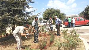 Δημιούργησαν ένα λαχανόκηπο στα Φιλιατρά