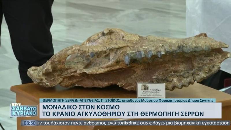 Μοναδικό στον κόσμο: Το κρανίο αγκυλοθήριου στη Θερμοπηγή Σερρών (βίντεο)