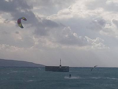 Καλαμάτα: Σερφάροντας πάνω στα κύματα δίπλα σε ένα γλάρο (φωτογραφίες)