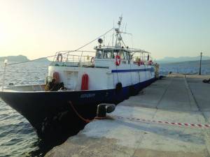 12 συλλήψεις και 1.500 κούτες με λαθραία τσιγάρα στο Μάραθο