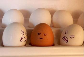 Λανθασμένες αντιλήψεις περί ρατσισμού