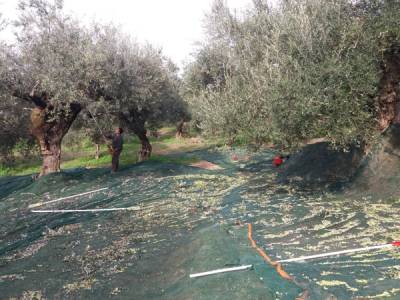 Ερώτηση Χαρίτση για κατασχέσεις επιδοτήσεων