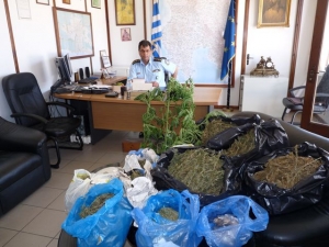 Βίντεο της συνέντευξης Τύπου για την σύλληψη του 55χρονου χασισοκαλλιεργητη