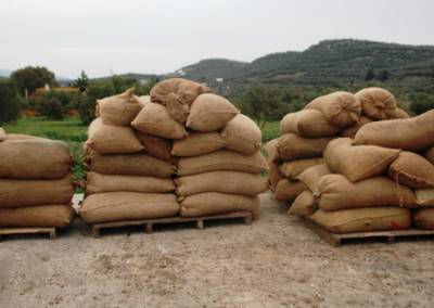 Πρέσες ψυχρής έκθλιψης ελαιολάδου από το Leader