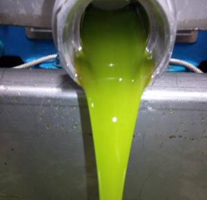 Εως 3,25 ευρώ το κιλό η τιμή του ελαιόλαδου