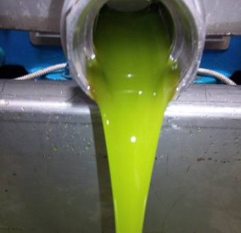 Εως 3,25 ευρώ το κιλό η τιμή του ελαιόλαδου