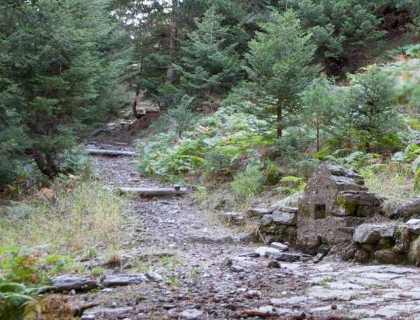 Επί Τάπητος: Του βουνού και της... πόλης