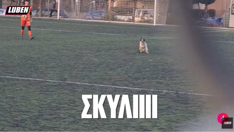 «ΣΚΥΛΙΙΙΙ»: Συγκρότημα της Πάτρας πίσω από τη viral φράση του διαδικτύου (Βίντεο)