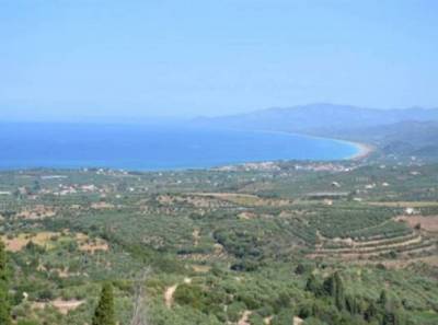 Στην τελική ευθεία οι υποψηφιότητες Δριμή και Τσίγγανου στην Τριφυλία