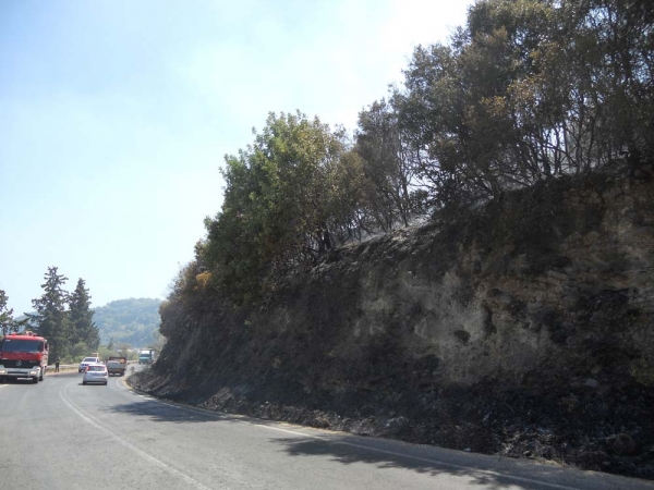 Υποψίες για εμπρησμό σε Τζάνε και Ριζόμυλο