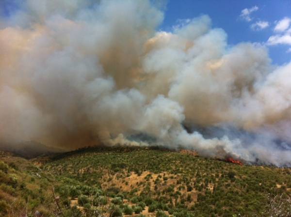 Από την αρχή η δίκη για τους εμπρησμούς στον Κότρωνα