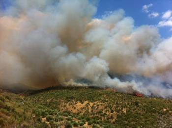 Από την αρχή η δίκη για τους εμπρησμούς στον Κότρωνα