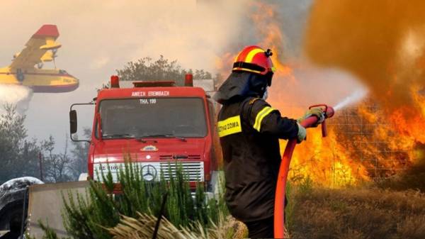 Πυρκαγιά στην περιοχή Γιαννισκάρι, στην δυτική Αχαΐα