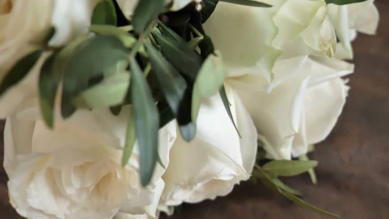 Τι λένε τα ζώδια σήμερα (3/3)