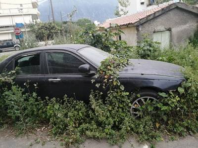 Αμάξι… γλάστρα