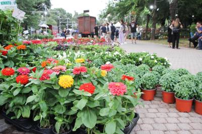 9-18 Μαΐου η 12η Ανθοκομική Εκθεση Καλαμάτας