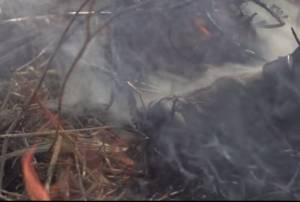 Τηλεοπτικό σποτ για τις πυρκαγιές (βίντεο)