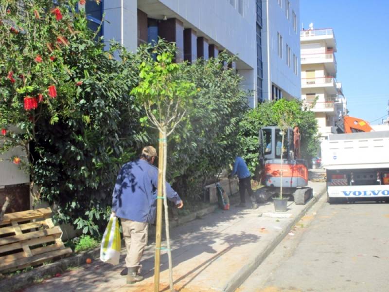 Φυτεύουν δέντρα