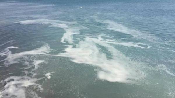 Ανησυχία Παμπελοποννησιακού Πολιτιστικού Συλλόγου Αττικής