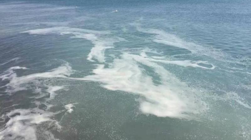 Ανησυχία Παμπελοποννησιακού Πολιτιστικού Συλλόγου Αττικής