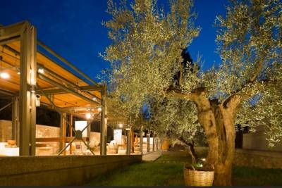 Η παράσταση "Μαίρη Πόππινς" στο Μουσείο Ελιάς