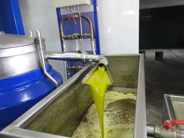 "Τσίμπησε" 10 λεπτά η τιμή του λαδιού