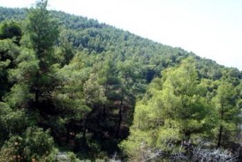 Ενταξη έργων στο &quot;Αλ. Μπαλτατζής&quot;