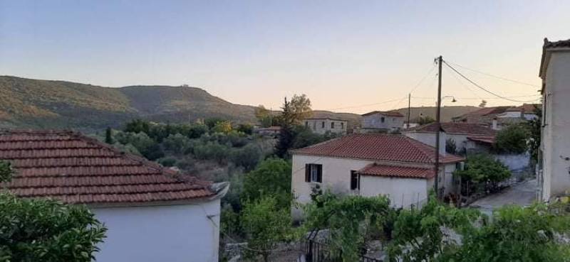 «Αρχιτεκτονικές Διαδρομές Μεσσήνης»: Ψηφιακό οδοιπορικό στην Κλεισούρα