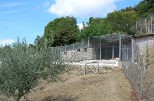 Οι ζωοκλέφτες ρημάζουν τα μαντριά και τα κοτέτσια