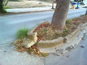 Ξηλώνει τα δέντρα για να… φυτέψει καινούργια