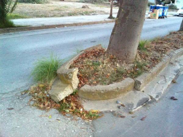 Ξηλώνει τα δέντρα για να… φυτέψει καινούργια