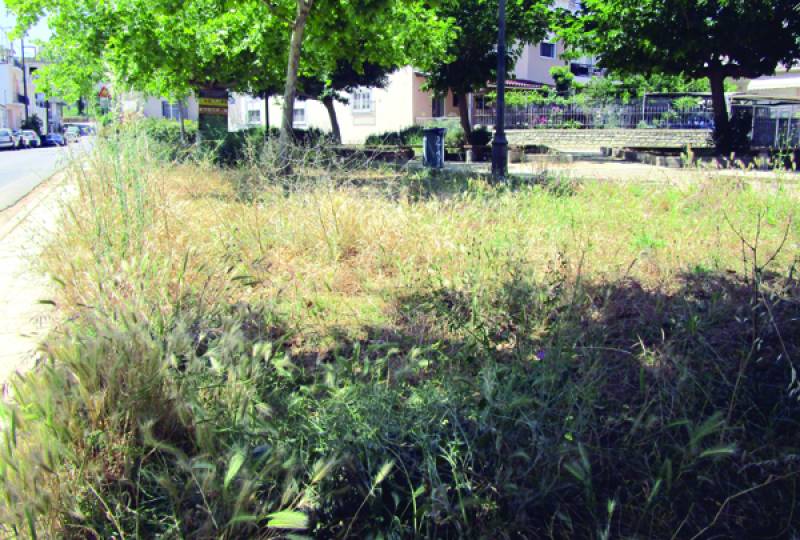 Ανάδοχος για καθαρισμό χώρων στην Καλαμάτα