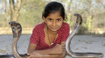 Ατρόμητη 11χρονη Ινδή ζει μαζί με κόμπρες (φωτογραφίες)