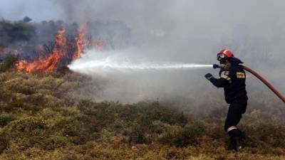 Πυρκαγιά ξέσπασε στον Δήμο Νέστου