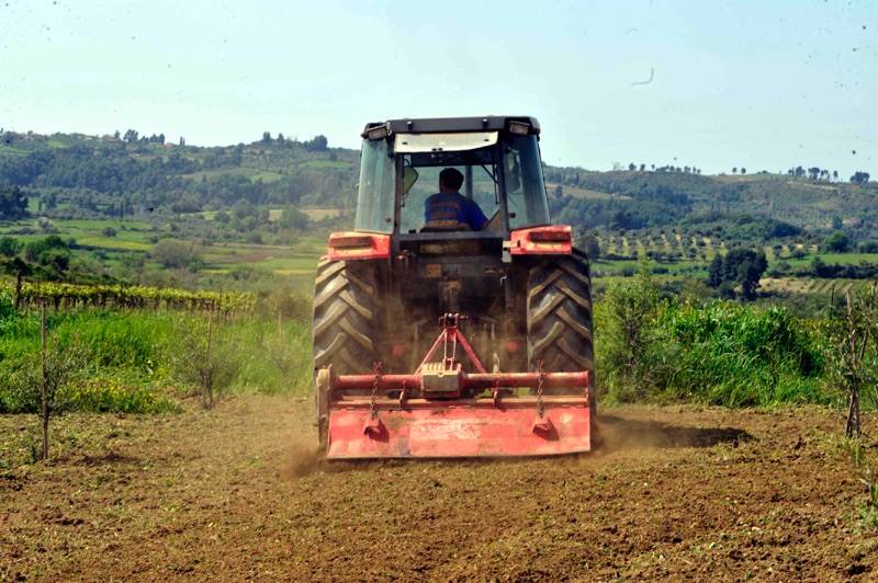 Απαλλάσσονται οι αγρότες και οι αλιείς από το τέλος επιτηδεύματος για το φορολογικό έτος 2020 (βίντεο)