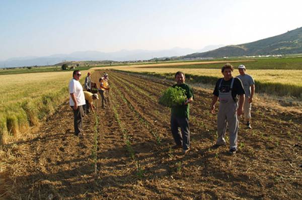 Μπλόκο επιδοτήσεων αγροτών με χρέη σε ΟΓΑ