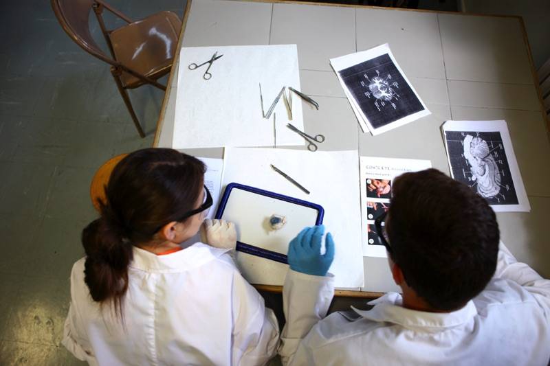 Κέντρο για Χαρισματικά – Ταλαντούχα Παιδιά: Εξετάσεις και υποτροφίες για μαθητές της Καλαμάτας