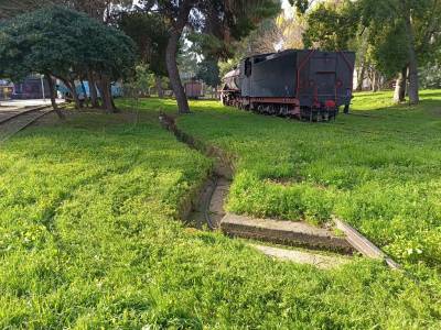 10 γατόσπιτα θα τοποθετηθούν στην Καλαμάτα