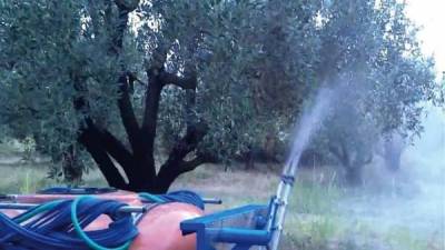 Συνεχίζονται οι ψεκασμοί δακοκτονίας στη Μεσσηνία