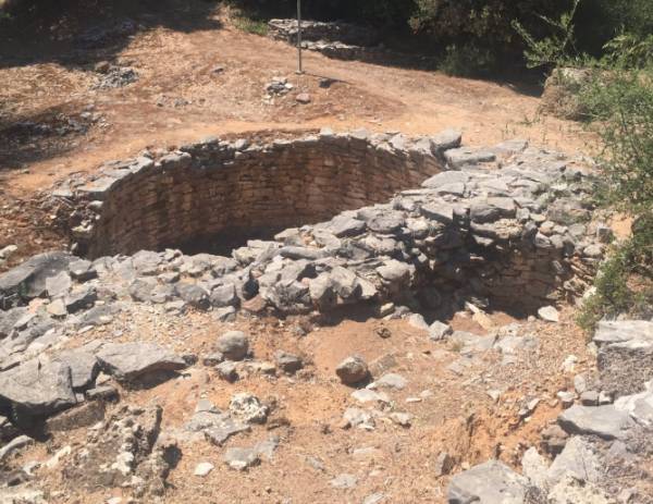 Το στοίχημα της Καρποφόρας