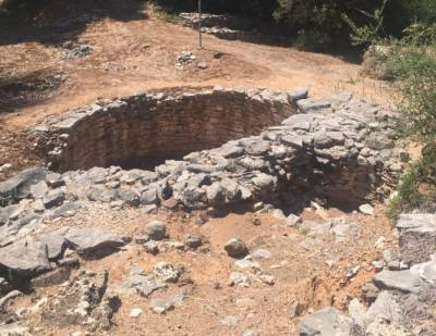 Το στοίχημα της Καρποφόρας