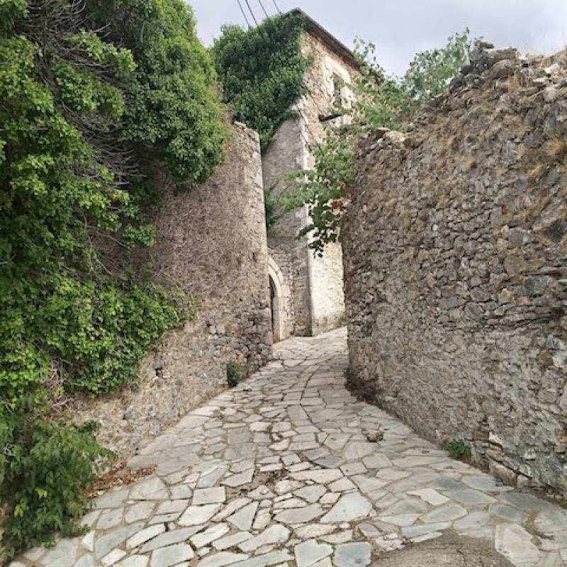 Ριζοσπαστικές λύσεις για τα χωριά της Αλαγονίας