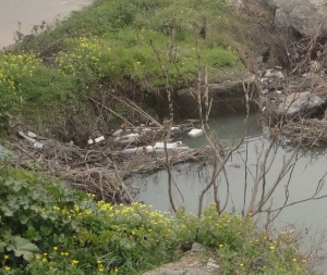 Το γνωστό …σκουπιδαριό