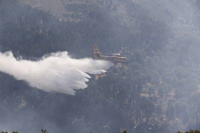 80-90 χρόνια για αναγέννηση των καμένων του Ταϋγέτου: 169.500 στρ. δάσους κάηκαν σε μια 10ετία